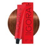 Igora Royal 7-57 Medium Blonde Gold Copper Asian Formula